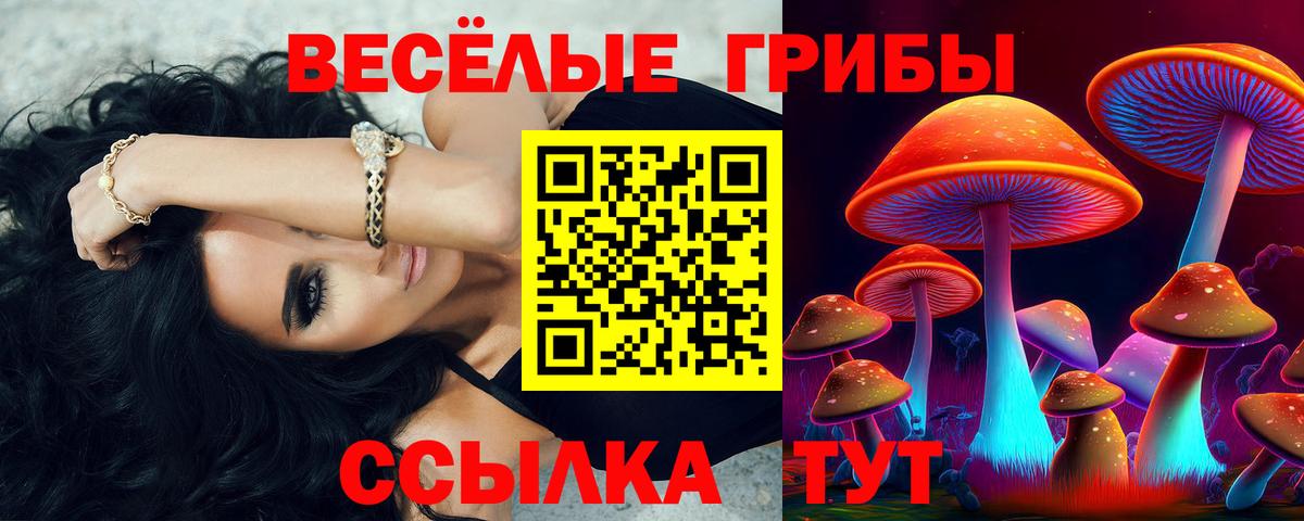 Псилоцибиновые грибы мицелий  Вход с VPN  Татарск 